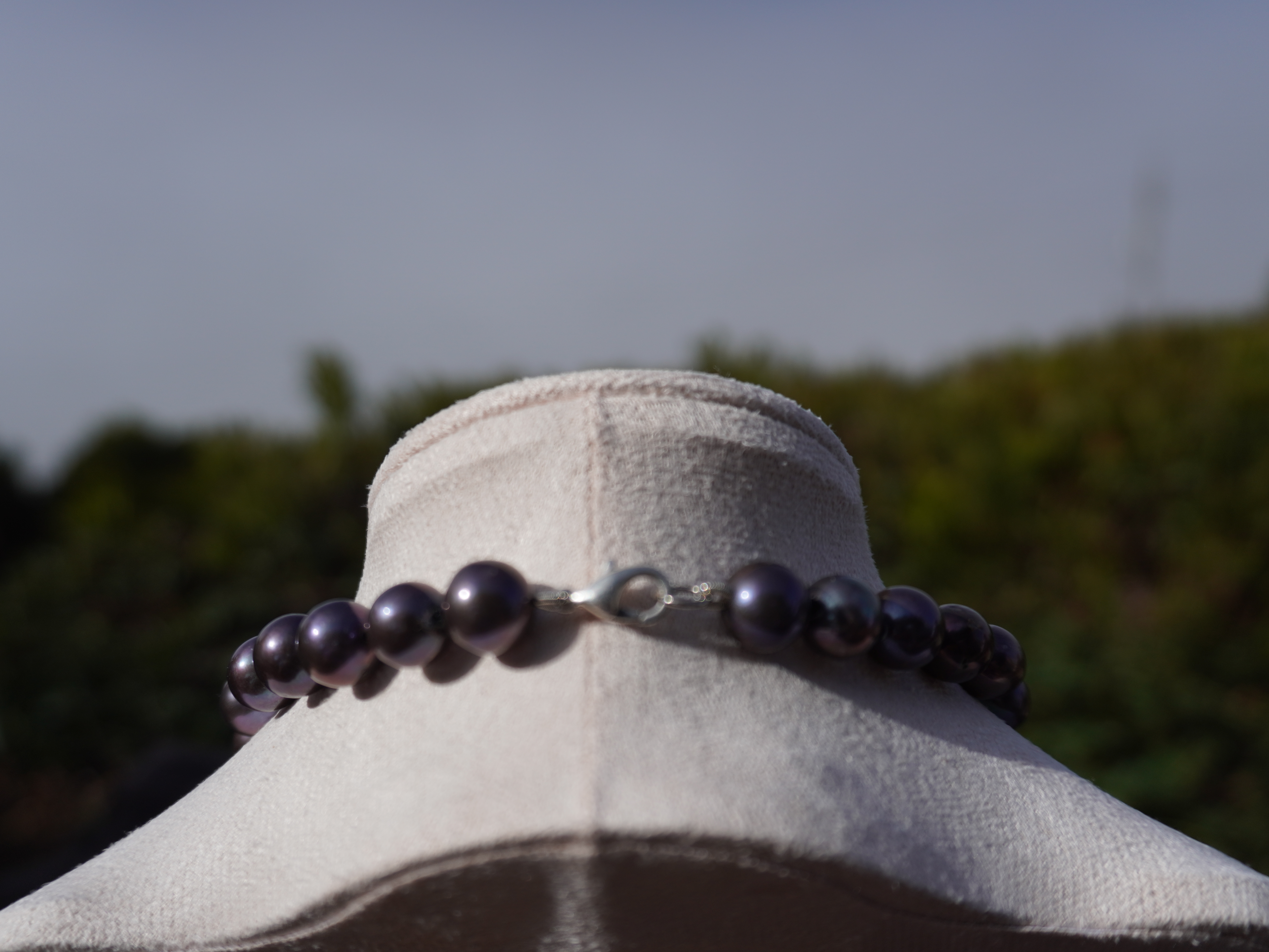 Siren's Shore Jewel