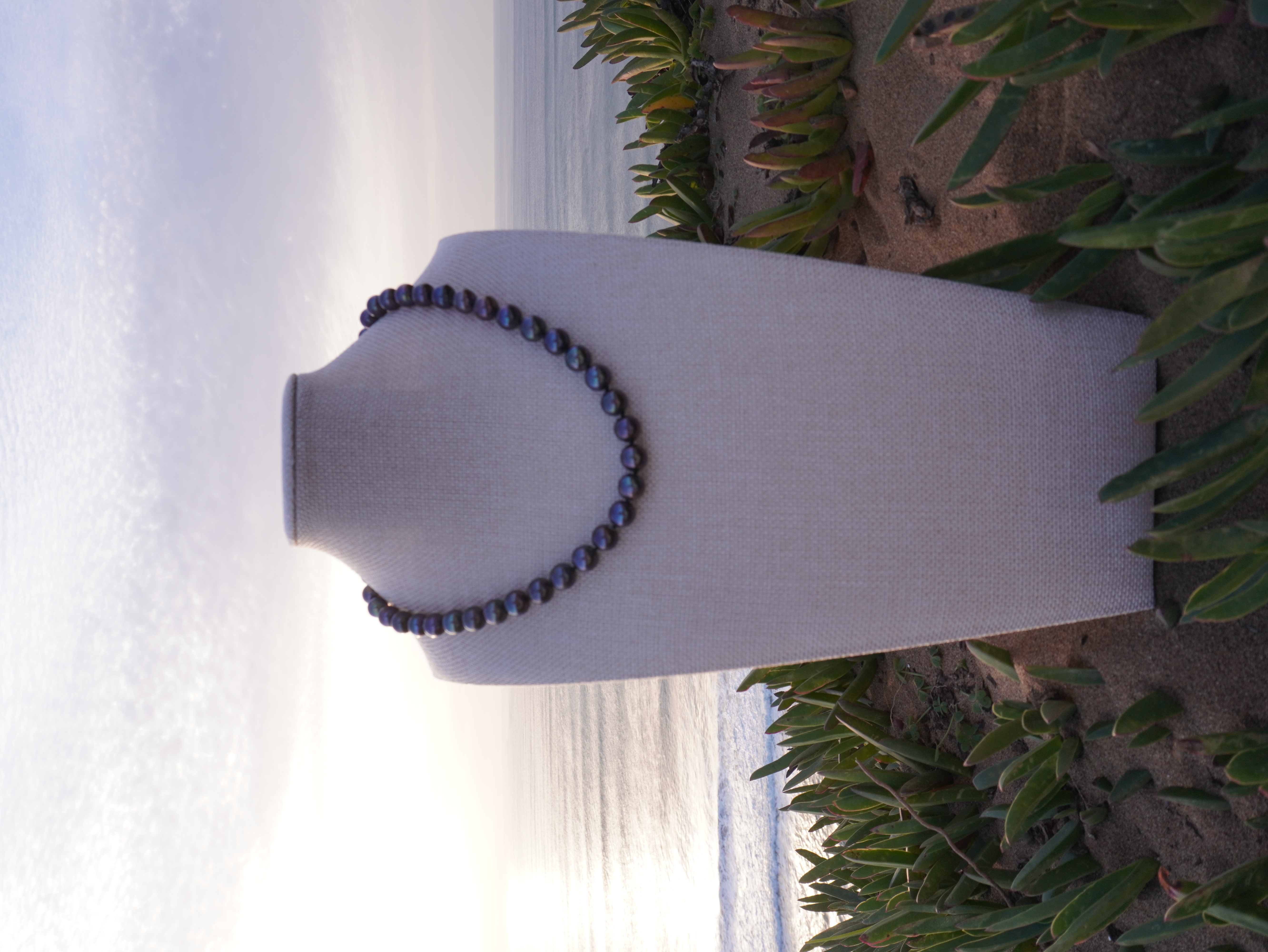Siren's Shore Jewel